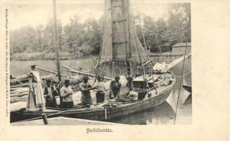 Siófok, Halászat, halfelbontás; kiadja Ellinger Ede