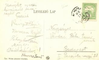 Ercsi, Eötvös-emlékoszlop, Gróf Wimpffen-kastély; özv. Weisz Jakabné kiadása