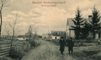 Mezőszentgyörgy, Fő utca