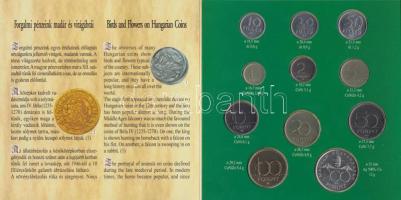 1995. 10f-200Ft 11klf darabos forgalmi sor dísztokban, benne 200Ft Ag "Deák", "Magyarország pénzérméi" sorozat T:BU