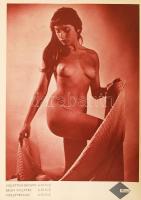 cca 1940 Orton fénnyomó tinta mintakönyv, benne erotiikus fotókkal is. Chemolimpex ccs 50p