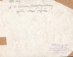 1925 Pobuda Alfréd: A IV. Főiskolai Foci Világbajnokság győztes magyar csapata, a kép felülete folto...