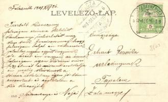 Felcsút, Fischof-kastély; floral