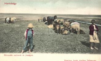 Hortobágy, Növendék emberek és jószágok; Eperjesy István kiadása