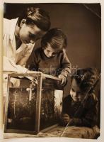 Vassányi Béla: Akvárium. Pecséttel jelzett. Sarkán erős hajtásnyom 18x24 cm