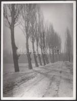 cca 1935-1940 Reich Péter Cornel: Szent Endrei út, jelzetlen vintage fotó a szerző hagyatékából, 24x18 cm