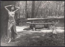 cca 1970-1980 Piknikezni volna jó! Finoman erotikus fénykép, 10x15 cm / cca 1970-1980 Erotic photo, 10x15 cm