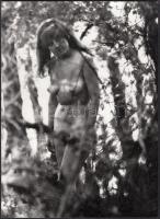 cca 1970-1980 Fák takarják, lombok simogatják, finoman erotikus fénykép, 23x17 cm / cca 1970-1980 Erotic photo, 23x17 cm