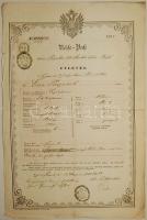 1858 Útlevél 6kr C.M. leróva felhasználás: Győr