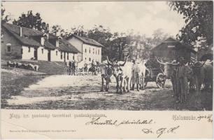 Kolozsvár, Magyar királyi gazdasági tanintézet, Gazdasági udvar, kiadja Schuster Emil / agricultural institute, courtyard (EB)