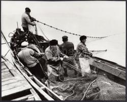 cca 1980 Halászati idény a Balatonon, 17x21 cm