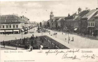 Kolozsvár, Deák Ferenc utca; Schuster Emil kiadása / street, shops