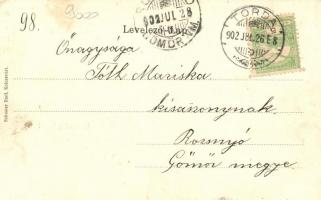 Kolozsvár, Megyeháza, Központi szálloda, fenyők, kiadja Schuster Emil / county hall, hotel, pine tre...