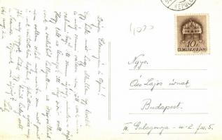 Kolozsvár, az első magyar repülő érkezése emlékére, a vitéz Szentkirályi Dezső nevű Malért repülőgép...