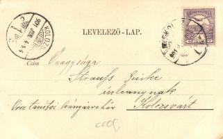 Kolozsvár, Vegytani intézet, kiadja Dunky Fivérek / Chemical Institute (EK)