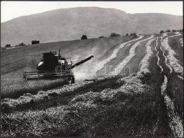 cca 1970-1980 Gebhardt György (1910-1993): Aratás, aláírt vintage fotóművészeti alkotás, 18x24 cm