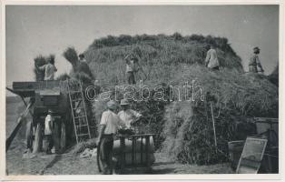 1950 Betakarítás idején: Cséplőgép, kazal építők, mázsálók, 11x18 cm