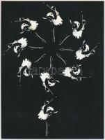 cca 1970 Fodor Ferenc: Balettvirág, feliratozott vintage fotógrafika, 24x18 cm