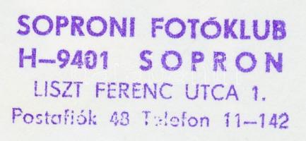 cca 1970 Fodor Ferenc: Balettvirág, feliratozott vintage fotógrafika, 24x18 cm