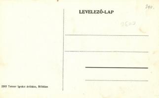 Billéd, Vasútállomás; kiadja Tenner Ignácz áruháza / railway station