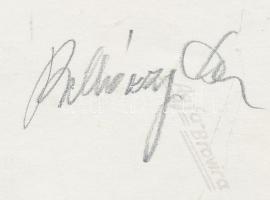 cca 1930 Belházy Dezső: Éltető fénysugár, aláírt vintage fotóművészeti alkotás, 20x11 cm