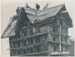 cca 1960-1970 Régi, öreg galambdúc, 18x24 cm