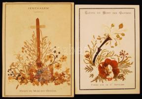 cca 1887 Fleurs du Mont des Oliviers posées sur le St. Sépulcre. 2 db néhol hiányos préselt virág-kompozíció levelezőlapon, hátulján jeruzsálemi út során tett feljegyzéssel.