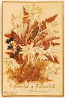 1898 Üdvözlet a Tátrából. Préselt virág-kompozíció, benne több havasi gyopárral, az alján feliratozva.