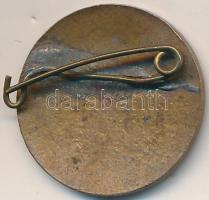 ~1950. "M.N.D.SZ. Népegészségőr" zománcozott jelvény (22mm) T:2