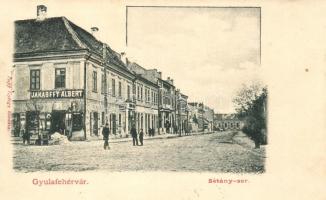Gyulafehérvár, Sétány sor, Jakabffy Albert kereskedése; Papp György kiadása / promenade, shop
