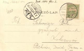 Gyulafehérvár, Sétány sor, Jakabffy Albert kereskedése; Papp György kiadása / promenade, shop