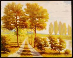 Tóth jelzéssel: Út a folyó mellett. Olaj, farost, 50×60 cm