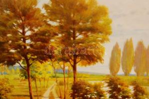 Tóth jelzéssel: Út a folyó mellett. Olaj, farost, 50×60 cm