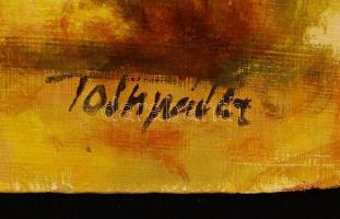 Tóth jelzéssel: Út a folyó mellett. Olaj, farost, 50×60 cm