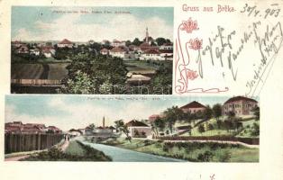 Brcko, Art Nouveau floral