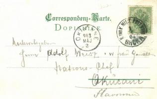 Brcko, Art Nouveau floral