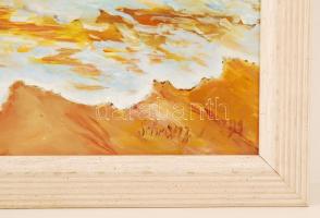 Schranz jelzéssel: Hullám. Olaj, farost, keretben, 40×50 cm