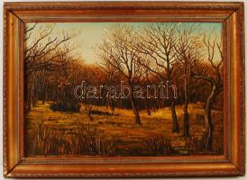 Szabó Lajos: November vége. Olaj, vászon, jelzett, sérült keretben, 50×70 cm