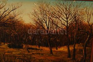 Szabó Lajos: November vége. Olaj, vászon, jelzett, sérült keretben, 50×70 cm