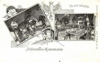 Cesky Krumlov, Krummau; Schlaraffia-Krummavia 'In arte voluptas' floral; Verlag J. Seidel Nr. 55 (EK)