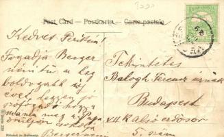 New Year, pigs, Emb. litho