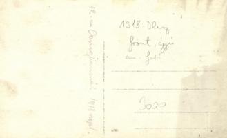 1918 Egy 42-es ágyú Coneglianonál / WWI Hungarian military, a 42 cm cannon at the Italian front, pho...