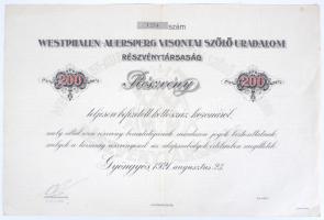 Gyöngyös 1921. "Westphalen-Auersperg Visontai Szőlő Uradalom Részvénytársaság" részvénye 200K-ról, hátlapon írás T:II