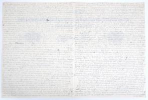 Gyöngyös 1921. "Westphalen-Auersperg Visontai Szőlő Uradalom Részvénytársaság" részvénye 2...