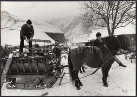 cca 1985 Kerekes Gábor pecséttel jelzett vintage fotója egy fát szállító lovas szánról, 18x24 cm