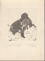 1932 Orphanidesz János (1876-1939): Vadász zsákmány, aláírással jelzett vintage fotóművészeti alkotás, képméret 14x12 cm, karton 24x18 cm