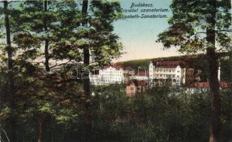 Budakeszi, Erzsébet szanatórium (EK)
