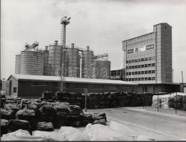 cca 1970-1980 Az Agrokomplex telephelye Agárdon, 3 db fotó, 18x24 cm