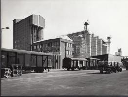 cca 1970-1980 Az Agrokomplex telephelye Agárdon, 3 db fotó, 18x24 cm