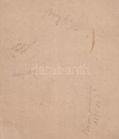 cca 1882-1883 Adler fotó: Brassói járásbíróság, három ábrázolt személy megnevezve, 20x24,5 cm